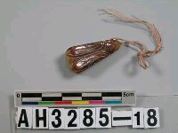 藏品(蟬形珮)的圖片